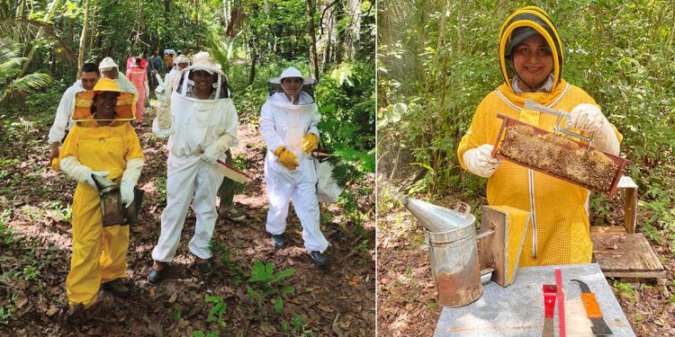 Extensionistas fortalecen conocimientos para mejorar el manejo de apiarios