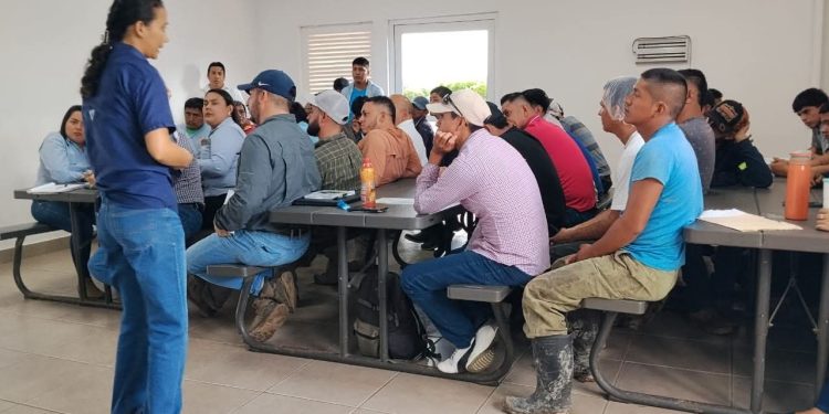 Capacitación promueve la inocuidad de los alimentos en espacios laborales de Izabal