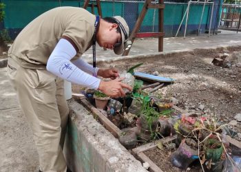 Prevención del dengue avanza con inspección de criaderos y nebulización en Santa Rosa