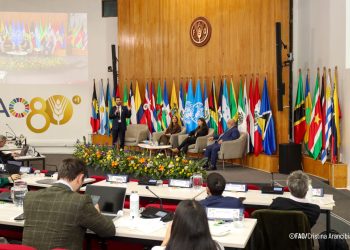 SEGEPLAN resalta papel de inversión pública en la atracción de inversión privada