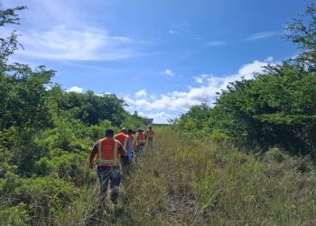 Fortalecen el manejo de fauna para vuelos más seguros en Mundo Maya