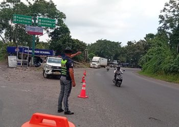 Identifican corredores críticos para proteger a usuarios de las rutas