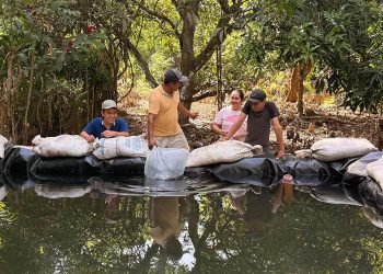 Familias de Santa Rosa fortalecen la producción de tilapia