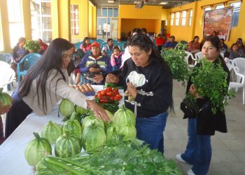 Feria del Agricultor en Tectitán impulsó el comercio de nueve CADER