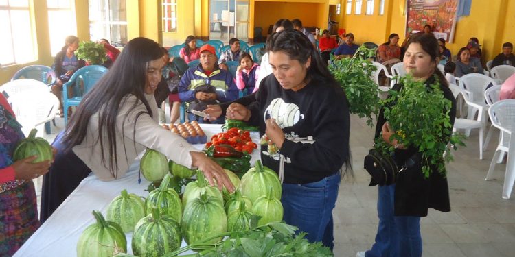 Feria del Agricultor en Tectitán impulsó el comercio de nueve CADER