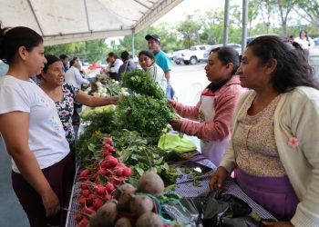 Feria del Agricultor impulsa la economía familiar de hogares capitalinos