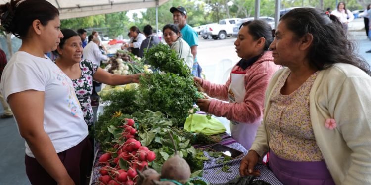 Feria del Agricultor impulsa la economía familiar de hogares capitalinos