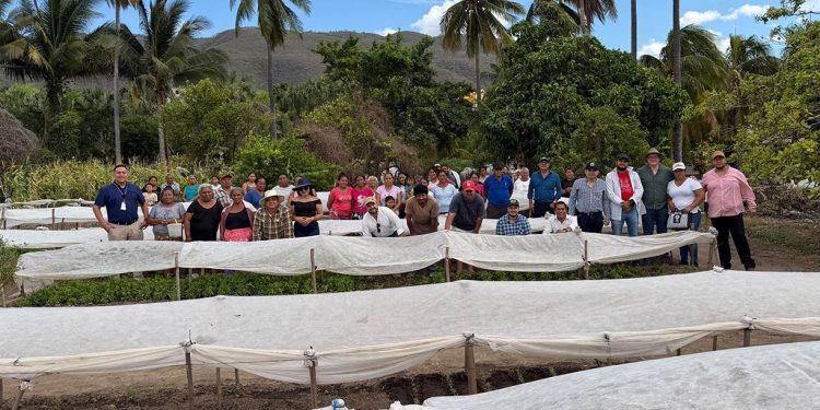 Fortalecen producción de huerto comunitario en el municipio de El Jícaro