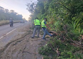 Más de 4,200 personas han sido asistidas por emergencias de lluvias en carretera
