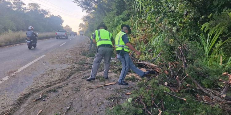 Más de 4,200 personas han sido asistidas por emergencias de lluvias en carretera