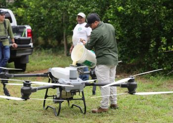 Fumigación con dron fortalece el manejo de cultivos en Petén