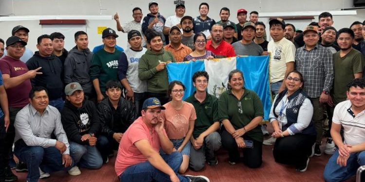 Consulado en Montreal desarrolla jornada de protección y reconocimiento para trabajadores guatemaltecos