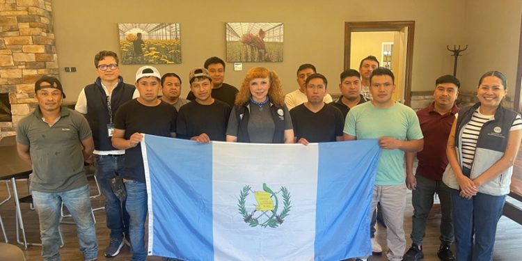 Consulado en Toronto acompaña a trabajadores temporales guatemaltecos en empresa de Ontario