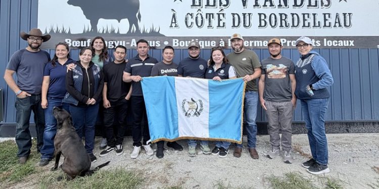 Consulado General en Montreal recorre más de 2,000 kilómetros para atender a trabajadores guatemaltecos