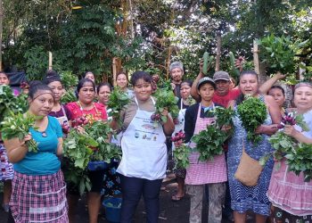 Huerto comunal impulsa la nutrición y el consumo de alimentos locales en Masagua