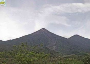 Columnas de ceniza descienden por las barrancas del Volcán de Fuego
