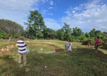 Impulsan cultivo de tilapia brindado asistencia técnica en Sayaxché
