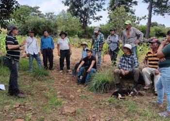Impulsan la seguridad alimentaria y el registro de agricultores en San Pedro Ayampuc