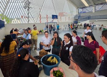 En Granados impulsan y dinamizan la economía local con la Feria del Agricultor
