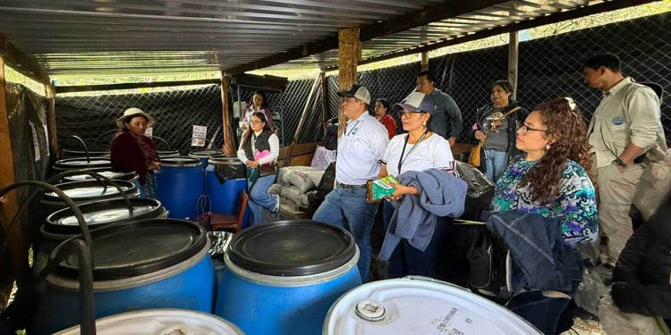Integrantes de los CADER de diez departamentos intercambian saberes productivos en Totonicapán