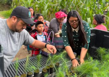 Jóvenes fortalecen la conservación ambiental en Totonicapán
