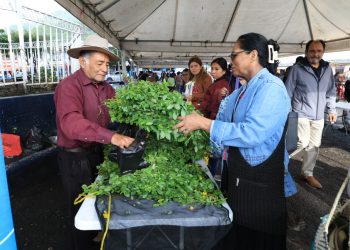 Los productos a precios accesibles de la Feria del Agricultor llegan a la zona 7