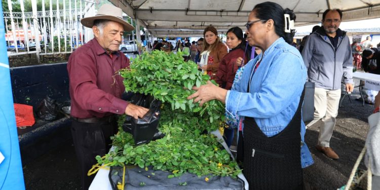 Los productos a precios accesibles de la Feria del Agricultor llegan a la zona 7