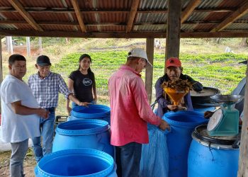 Nutren siembras de café y hortalizas por medio de agricultura orgánica