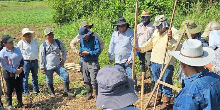 Prácticas en campo marcan segunda jornada de Talleres Regionales Keyline en Suchitepéquez