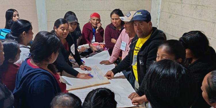 Productores de San Marcos adoptan el enfoque “producir para vender”