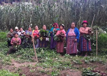 Huerto comunal asegura disponibilidad de alimentos a productores de San Marcos