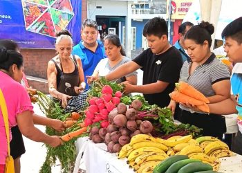 Productores marquenses dinamizan sus ingresos con la Feria del Agricultor