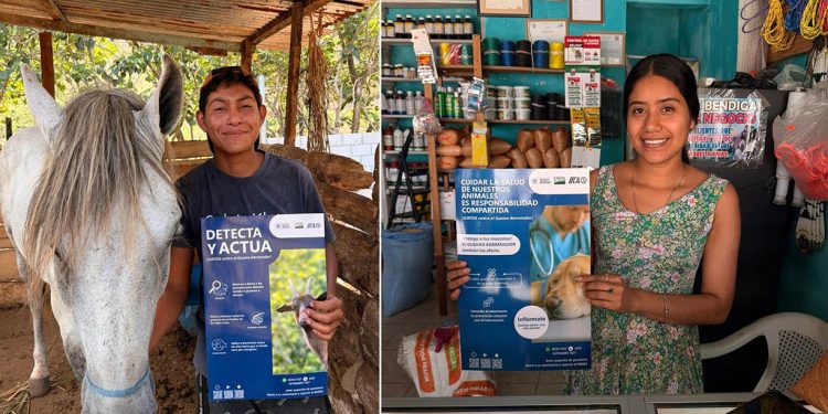 Amplían vigilancia en Petén para prevención de Gusano Barrenador