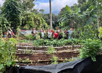 Promueven el cultivo de huertos y el uso de plantas nativas en Santa Rosa