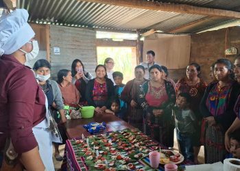 Promueven el establecimiento de huertos y recetas nutritivas en Quiché