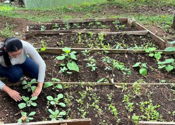 Promueven la educación alimentaria escolar y el RUA en comunidades de Zacapa