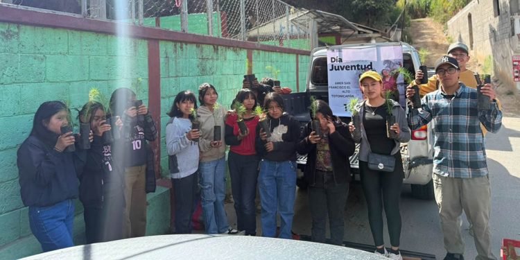 Jornadas de reforestación en Totonicapán, promueven el liderazgo ambiental de jóvenes