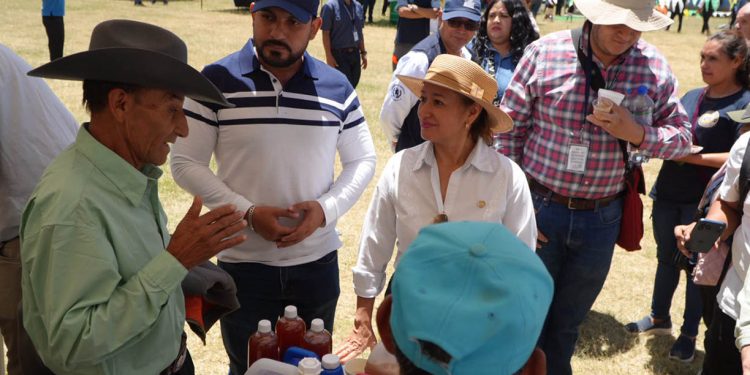 Realizan feria de la papa en Jalapa