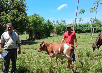 Recomendaciones para proteger cultivos y ganado ante el calor y poca humedad