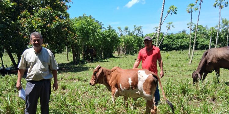 Recomendaciones para proteger cultivos y ganado ante el calor y poca humedad
