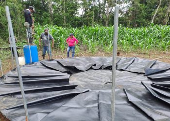Reservorios y sistemas de microriego fortalecen la producción agrícola en Petén