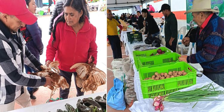 San José Ojetenam optimiza la economía local con Feria del Agricultor