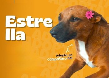 Listos para llenar un hogar de alegría y cariño