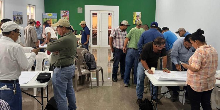 Taller Regional Keyline fortalece labor de extensión agrícola en el suroccidente