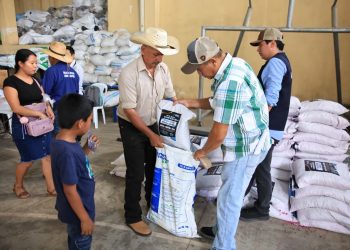 Un total de 65 mil personas fortalecen la producción de alimentos con el sistema milpa