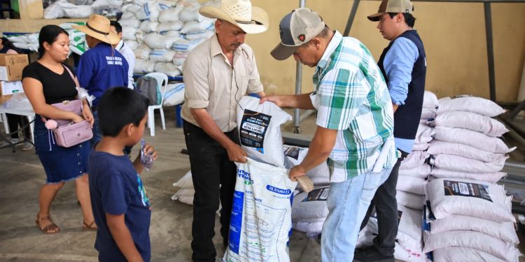 Un total de 65 mil personas fortalecen la producción de alimentos con el sistema milpa