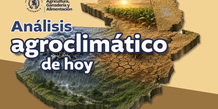 Reporte agroclimático del miércoles 12 de agosto 2026