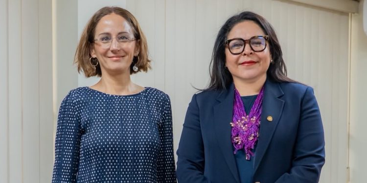 Vicecanciller Bolaños Pérez repasa agenda bilateral y multilateral con embajadora de Türkiye