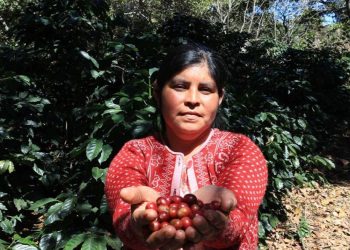 Pueblos indígenas fortalecen la seguridad alimentaria y el desarrollo agrícola del país