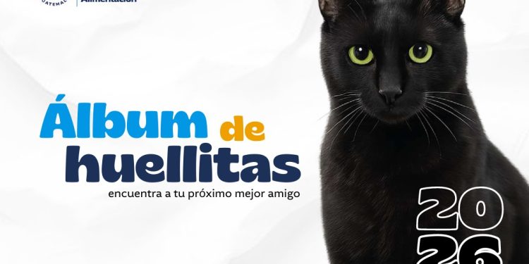 ¿Está listo para adoptar? 